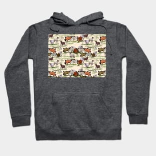 Sheep flock of Shetland sheep Hoodie